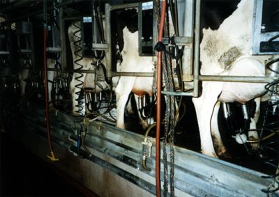 dairy-milk-machines-02