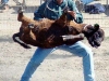 calf-roping-no-04